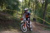 DSC02294.jpg