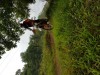 K1024_20200802_142931.jpg