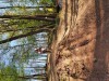 K1024_20210426_180304.jpg