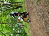 K1024_20210726_154642.jpg