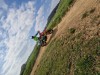 K1024_20250410_115401.jpg