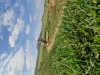 K1024_20250410_115549.jpg