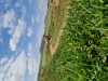 K1024_20250410_115551.jpg