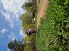 K1024_20250410_115640.jpg