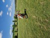 K1024_20250515_110054.jpg