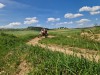 K1024_20250515_112208.jpg