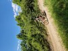 K1024_20250515_164231.jpg