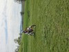 K1024_20260416_112243.jpg