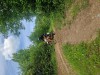 K1024_20260521_150614.jpg