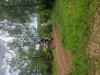 K1024_20260521_150631.jpg