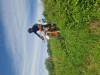 K1024_20260521_155556.jpg