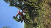 K1024_20260702_160338.jpg